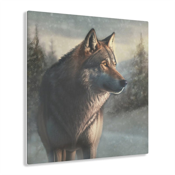 Acrylic Print: Winter Wolf II