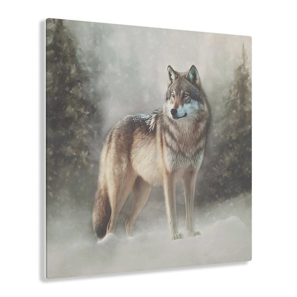 Acrylic Print: Winter Wolf I